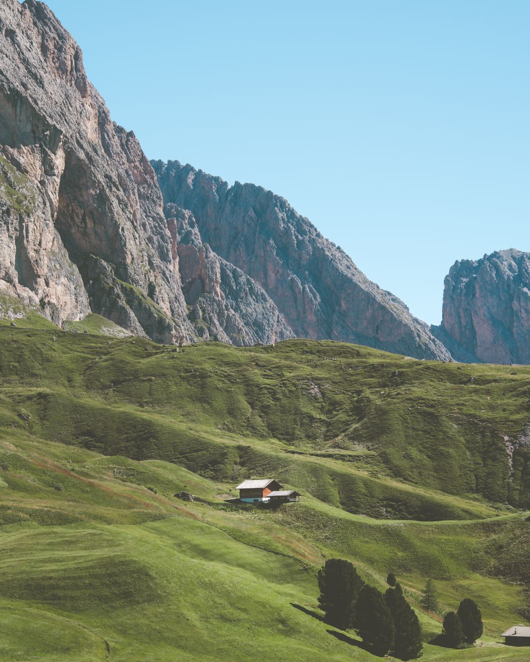 Alpine meadow and wooden refuge