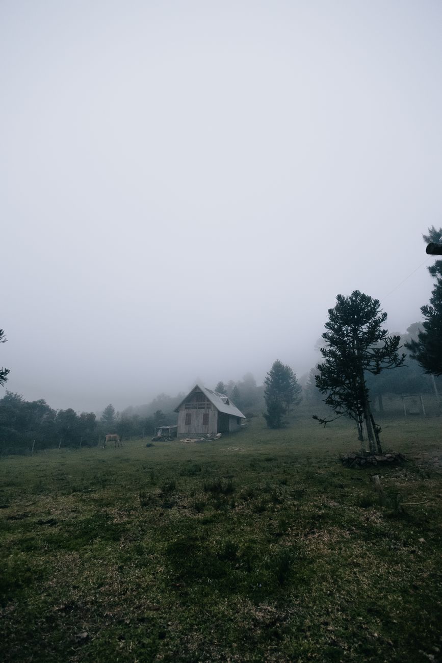 Tranquil mountain retreat and morning fog